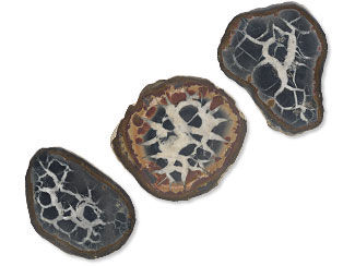 Septarian